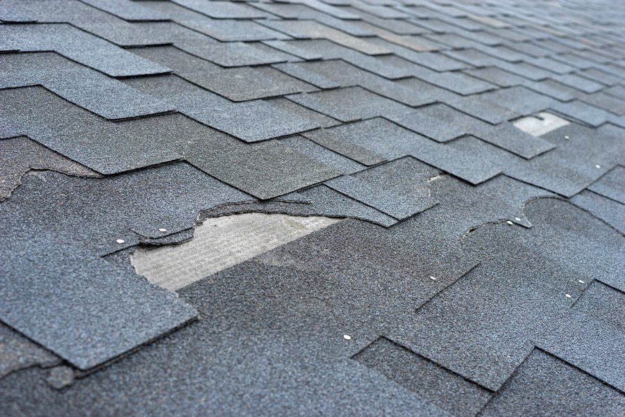 What Ruins Asphalt Shingles?