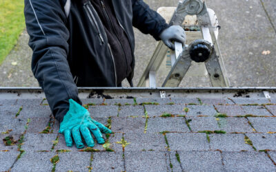 Beyond the Shingles: Unveiling the Secrets of Roof Inspections
