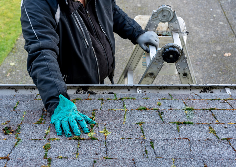 Beyond the Shingles: Unveiling the Secrets of Roof Inspections