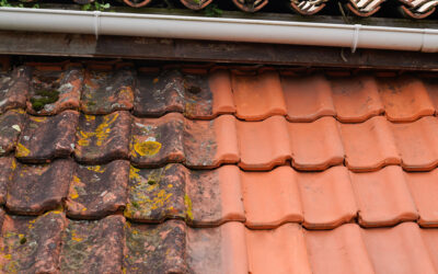 The Power of Prevention: Why Annual Roof Cleaning Matters
