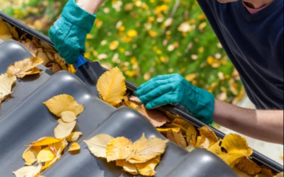 Roof Maintenance Mistakes to Avoid